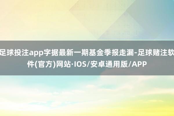 足球投注app字据最新一期基金季报走漏-足球赌注软件(官方)网站·IOS/安卓通用版/APP
