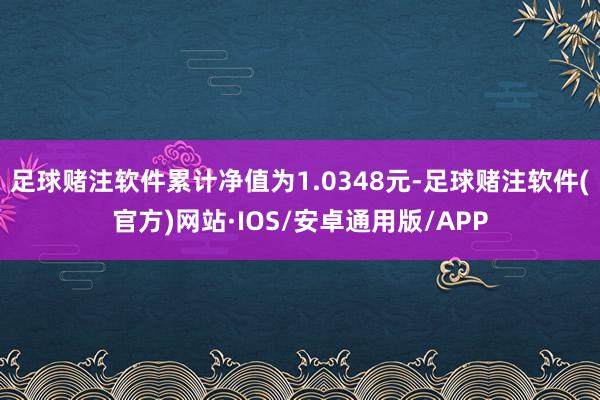 足球赌注软件累计净值为1.0348元-足球赌注软件(官方)网站·IOS/安卓通用版/APP