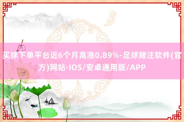 买球下单平台近6个月高涨0.89%-足球赌注软件(官方)网站·IOS/安卓通用版/APP
