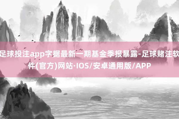 足球投注app字据最新一期基金季报暴露-足球赌注软件(官方)网站·IOS/安卓通用版/APP