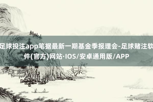足球投注app笔据最新一期基金季报理会-足球赌注软件(官方)网站·IOS/安卓通用版/APP