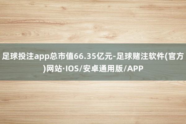 足球投注app总市值66.35亿元-足球赌注软件(官方)网站·IOS/安卓通用版/APP