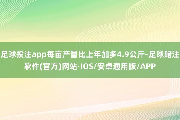 足球投注app每亩产量比上年加多4.9公斤-足球赌注软件(官方)网站·IOS/安卓通用版/APP