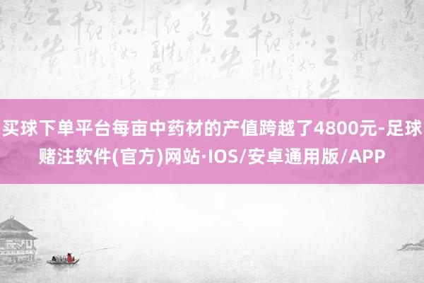 买球下单平台每亩中药材的产值跨越了4800元-足球赌注软件(官方)网站·IOS/安卓通用版/APP