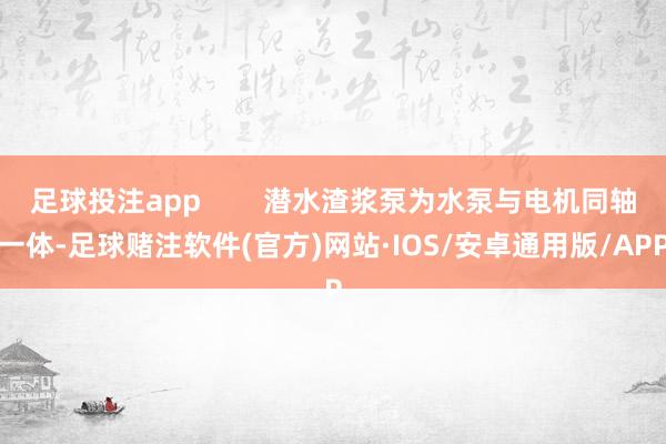 足球投注app        潜水渣浆泵为水泵与电机同轴一体-足球赌注软件(官方)网站·IOS/安卓通用版/APP