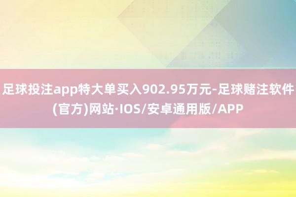 足球投注app特大单买入902.95万元-足球赌注软件(官方)网站·IOS/安卓通用版/APP