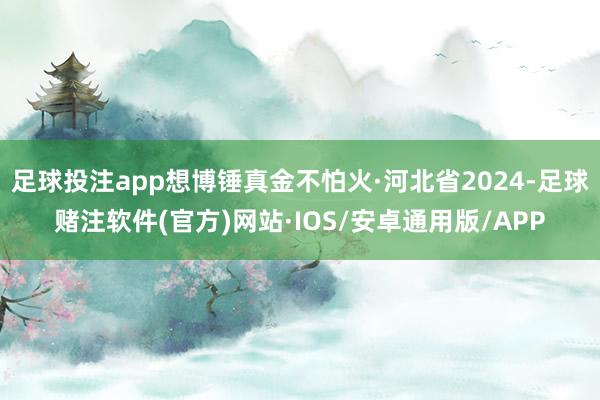 足球投注app想博锤真金不怕火·河北省2024-足球赌注软件(官方)网站·IOS/安卓通用版/APP
