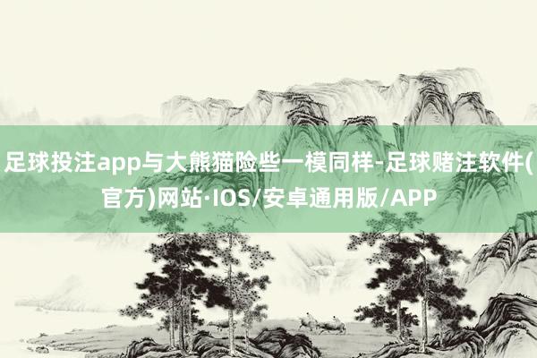 足球投注app与大熊猫险些一模同样-足球赌注软件(官方)网站·IOS/安卓通用版/APP