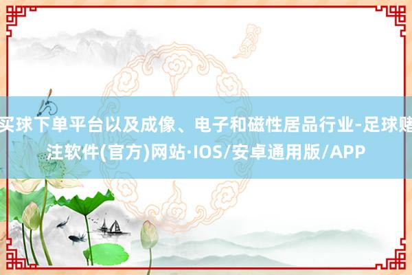 买球下单平台以及成像、电子和磁性居品行业-足球赌注软件(官方)网站·IOS/安卓通用版/APP