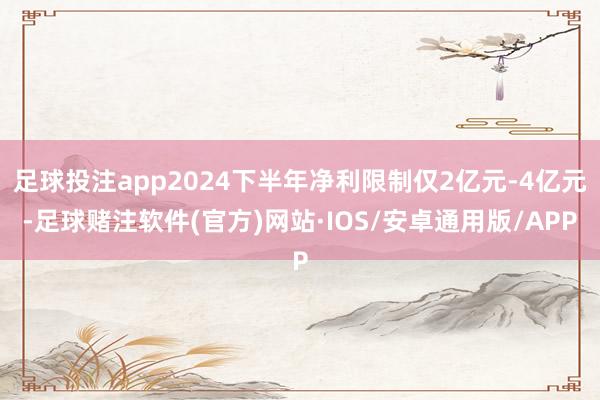 足球投注app2024下半年净利限制仅2亿元-4亿元-足球赌注软件(官方)网站·IOS/安卓通用版/APP