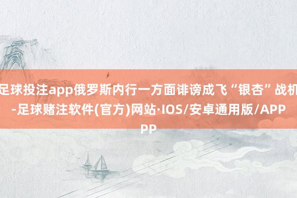 足球投注app俄罗斯内行一方面诽谤成飞“银杏”战机-足球赌注软件(官方)网站·IOS/安卓通用版/APP