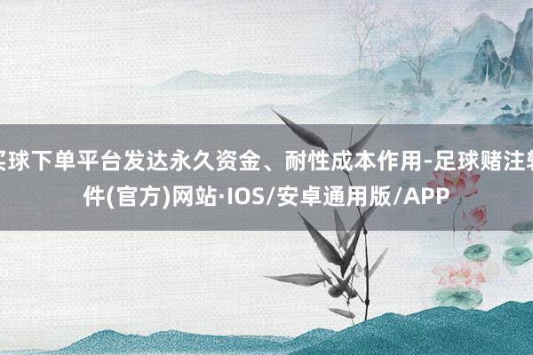 买球下单平台发达永久资金、耐性成本作用-足球赌注软件(官方)网站·IOS/安卓通用版/APP