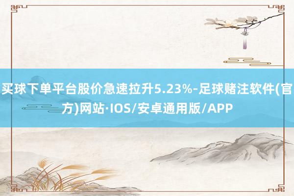 买球下单平台股价急速拉升5.23%-足球赌注软件(官方)网站·IOS/安卓通用版/APP