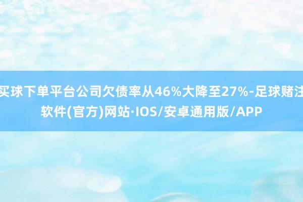 买球下单平台公司欠债率从46%大降至27%-足球赌注软件(官方)网站·IOS/安卓通用版/APP