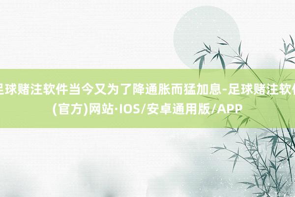 足球赌注软件当今又为了降通胀而猛加息-足球赌注软件(官方)网站·IOS/安卓通用版/APP