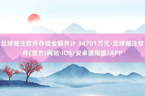 足球赌注软件存续金额共计 34701万元-足球赌注软件(官方)网站·IOS/安卓通用版/APP