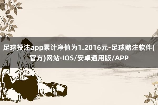 足球投注app累计净值为1.2016元-足球赌注软件(官方)网站·IOS/安卓通用版/APP