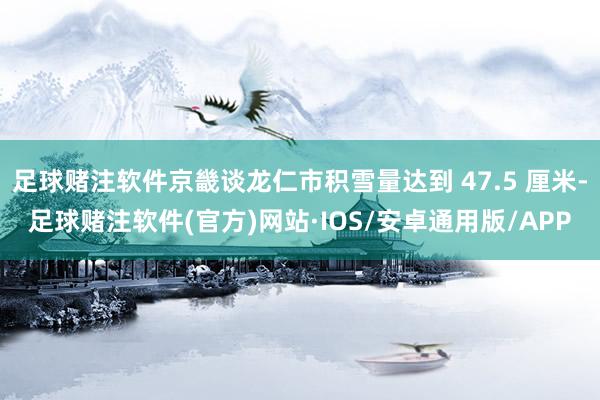 足球赌注软件京畿谈龙仁市积雪量达到 47.5 厘米-足球赌注软件(官方)网站·IOS/安卓通用版/APP