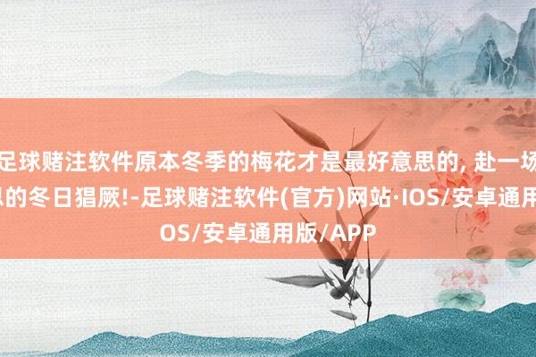 足球赌注软件原本冬季的梅花才是最好意思的, 赴一场绝好意思的冬日猖厥!-足球赌注软件(官方)网站·IOS/安卓通用版/APP