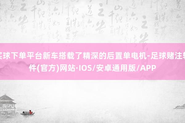 买球下单平台新车搭载了精深的后置单电机-足球赌注软件(官方)网站·IOS/安卓通用版/APP