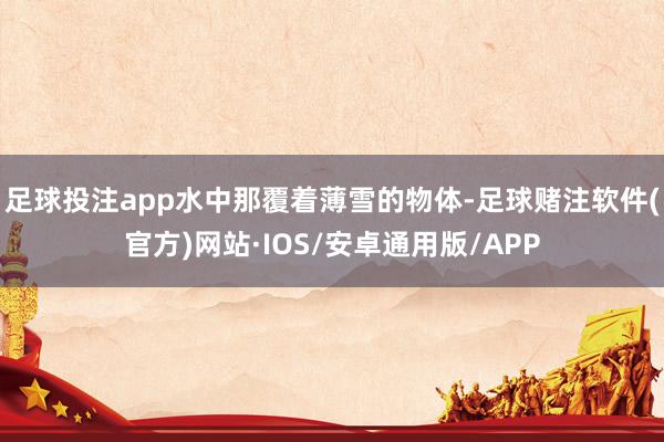 足球投注app水中那覆着薄雪的物体-足球赌注软件(官方)网站·IOS/安卓通用版/APP