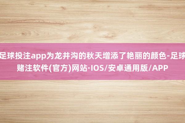 足球投注app为龙井沟的秋天增添了艳丽的颜色-足球赌注软件(官方)网站·IOS/安卓通用版/APP