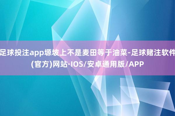 足球投注app塬坡上不是麦田等于油菜-足球赌注软件(官方)网站·IOS/安卓通用版/APP