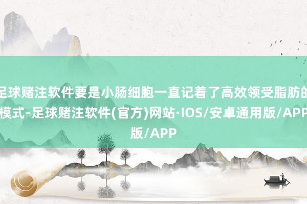 足球赌注软件要是小肠细胞一直记着了高效领受脂肪的模式-足球赌注软件(官方)网站·IOS/安卓通用版/APP