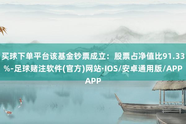 买球下单平台该基金钞票成立：股票占净值比91.33%-足球赌注软件(官方)网站·IOS/安卓通用版/APP
