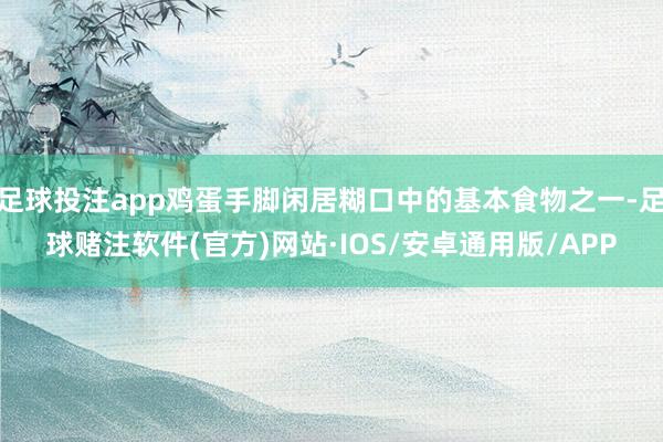 足球投注app鸡蛋手脚闲居糊口中的基本食物之一-足球赌注软件(官方)网站·IOS/安卓通用版/APP