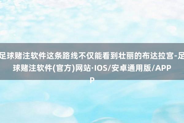 足球赌注软件这条路线不仅能看到壮丽的布达拉宫-足球赌注软件(官方)网站·IOS/安卓通用版/APP