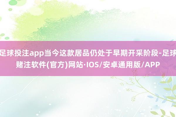 足球投注app当今这款居品仍处于早期开采阶段-足球赌注软件(官方)网站·IOS/安卓通用版/APP