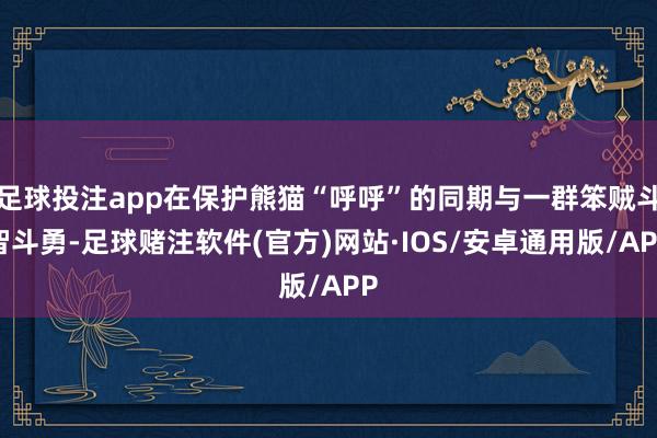 足球投注app在保护熊猫“呼呼”的同期与一群笨贼斗智斗勇-足球赌注软件(官方)网站·IOS/安卓通用版/APP