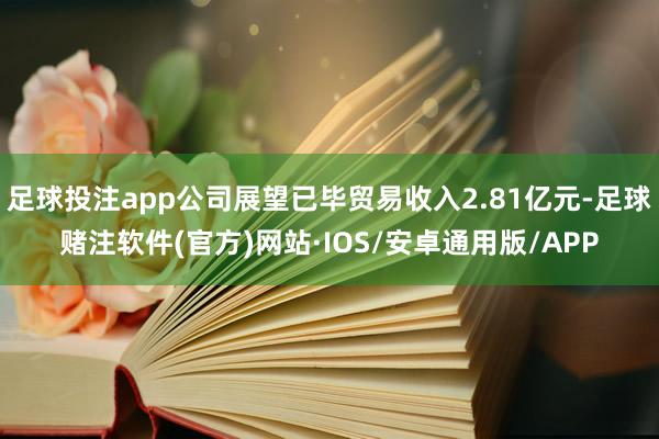 足球投注app公司展望已毕贸易收入2.81亿元-足球赌注软件(官方)网站·IOS/安卓通用版/APP