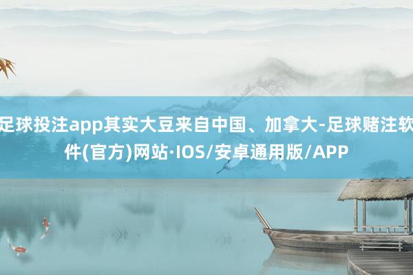足球投注app其实大豆来自中国、加拿大-足球赌注软件(官方)网站·IOS/安卓通用版/APP