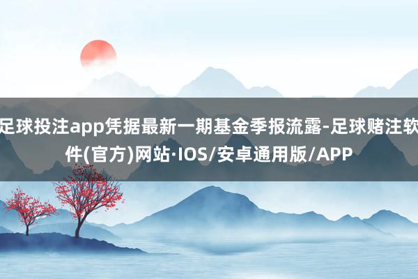 足球投注app凭据最新一期基金季报流露-足球赌注软件(官方)网站·IOS/安卓通用版/APP
