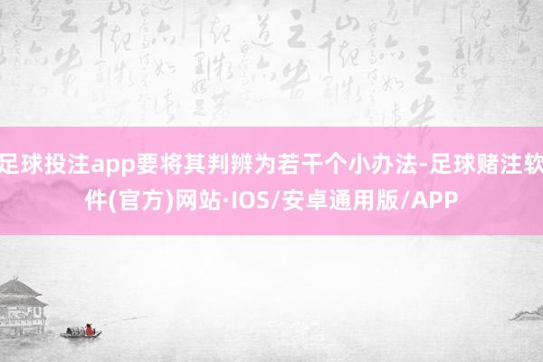 足球投注app要将其判辨为若干个小办法-足球赌注软件(官方)网站·IOS/安卓通用版/APP
