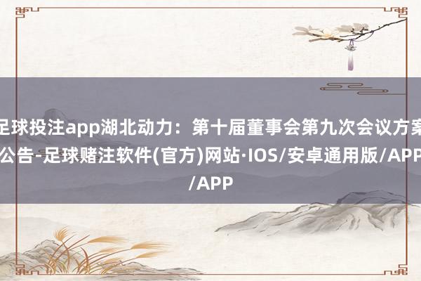 足球投注app湖北动力：第十届董事会第九次会议方案公告-足球赌注软件(官方)网站·IOS/安卓通用版/APP