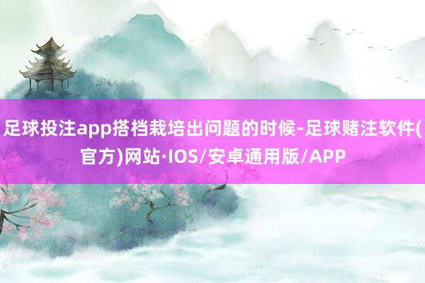 足球投注app搭档栽培出问题的时候-足球赌注软件(官方)网站·IOS/安卓通用版/APP