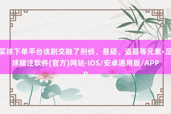 买球下单平台该剧交融了刑侦、悬疑、盗墓等元素-足球赌注软件(官方)网站·IOS/安卓通用版/APP