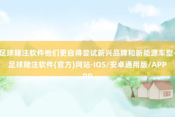 足球赌注软件他们更自得尝试新兴品牌和新能源车型-足球赌注软件(官方)网站·IOS/安卓通用版/APP