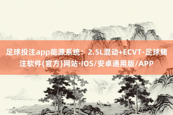 足球投注app能源系统：2.5L混动+ECVT-足球赌注软件(官方)网站·IOS/安卓通用版/APP
