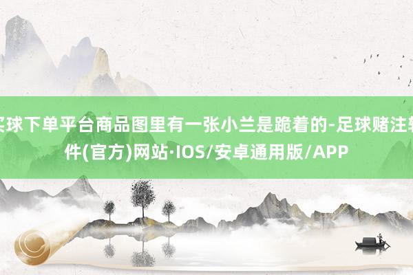 买球下单平台商品图里有一张小兰是跪着的-足球赌注软件(官方)网站·IOS/安卓通用版/APP