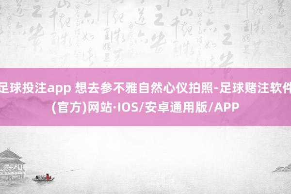 足球投注app 想去参不雅自然心仪拍照-足球赌注软件(官方)网站·IOS/安卓通用版/APP