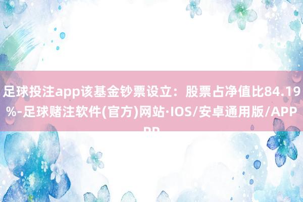 足球投注app该基金钞票设立：股票占净值比84.19%-足球赌注软件(官方)网站·IOS/安卓通用版/APP