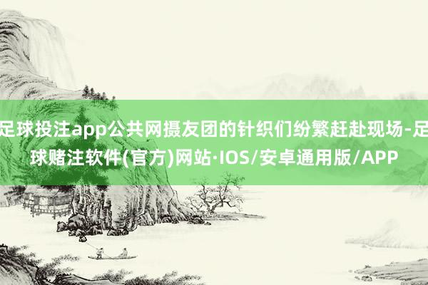 足球投注app公共网摄友团的针织们纷繁赶赴现场-足球赌注软件(官方)网站·IOS/安卓通用版/APP