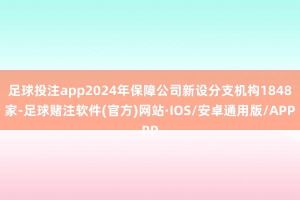 足球投注app2024年保障公司新设分支机构1848家-足球赌注软件(官方)网站·IOS/安卓通用版/APP