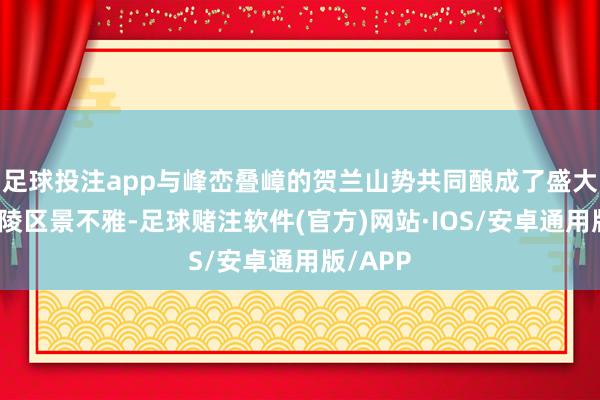 足球投注app与峰峦叠嶂的贺兰山势共同酿成了盛大壮丽的陵区景不雅-足球赌注软件(官方)网站·IOS/安卓通用版/APP