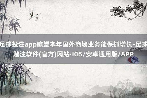 足球投注app瞻望本年国外商场业务能保抓增长-足球赌注软件(官方)网站·IOS/安卓通用版/APP