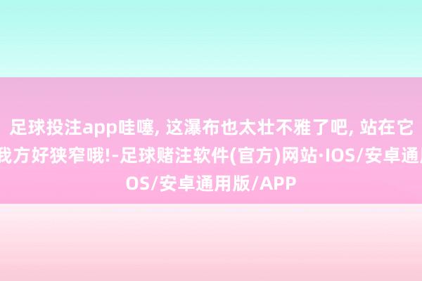 足球投注app哇噻, 这瀑布也太壮不雅了吧, 站在它前边嗅觉我方好狭窄哦!-足球赌注软件(官方)网站·IOS/安卓通用版/APP